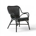 Outdoor Black PE Rattan and Powder-Coated Steel Armchair, 73 x 61 x 86 cm